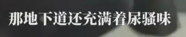 AG百家乐官方网站-遭鞭打、被迫在尿骚味地道取暖?迪丽热巴爆猛料,滞留仅冰山一角